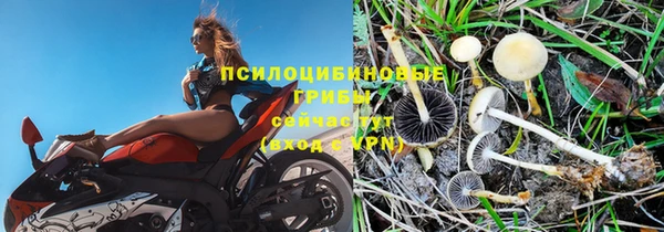 эйфоретик Баксан