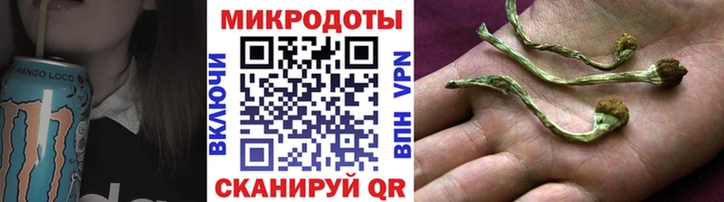 Галлюциногенные грибы MAGIC MUSHROOMS  Купить закладки  Новая Усмань 